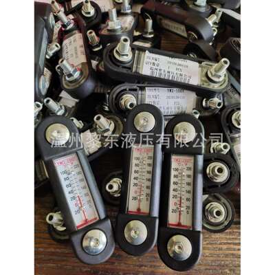 FL69221 12250123 9268765 SAB.1562.10.NPT 934331液位计滤芯