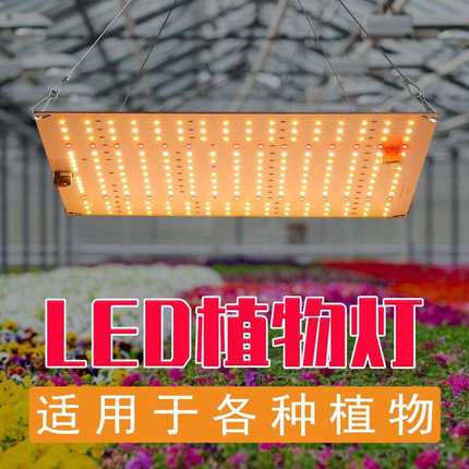 LED植物补光灯全光谱大棚50W植物灯种植温室照明生长灯轻薄多功KJ