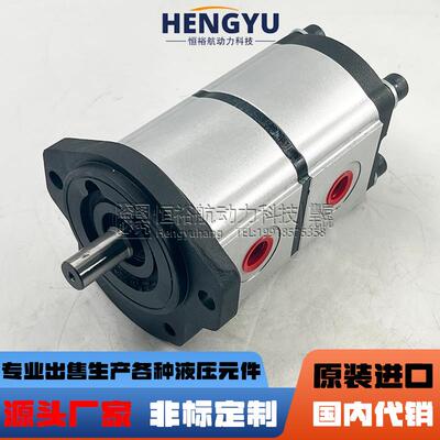 力士乐Rexroth齿轮泵AZPFF-12-10/10RR0202MB液压泵PGE104双联油