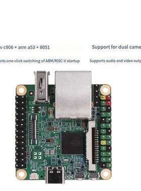 1套 颜色：绿色 材质：PCB Milk-V-Duo-S-512M-Basic+STC下载器 R