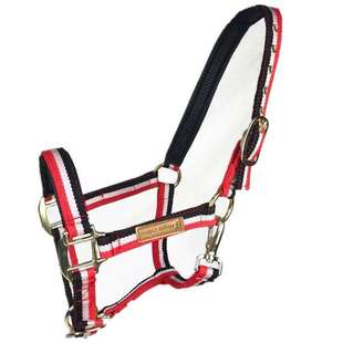 新品牵马笼头马术用品防磨龙头龙套马具配件大小矮马笼头水勒口衔