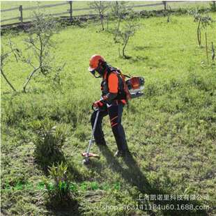 BCH400BP背负式二冲程割草机汽油机打草机割灌机大功率除草机