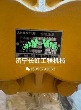 Sd42变速泵 31Y-74-30000