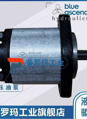 土耳其blue ascend泵AP20.160.CDC04SN CDF06SN CDH05SN CDA01SN