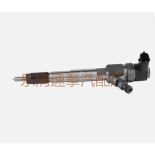 ALFA/ROMEO柴油高压共轨喷油器总成喷油嘴0445110243