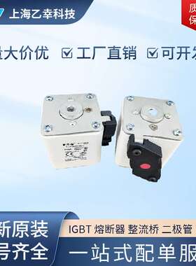 巴斯曼熔断器  170M5968 170M5969 170M5970 170M5971 170M5972