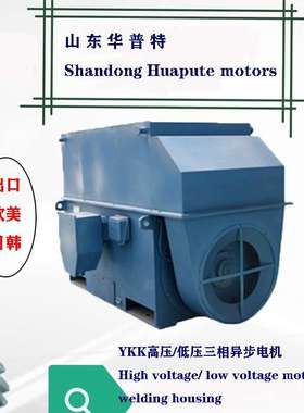 出口YKK高压电机 315kw  560kw 出口朝鲜 山东厂家6kv 10kv