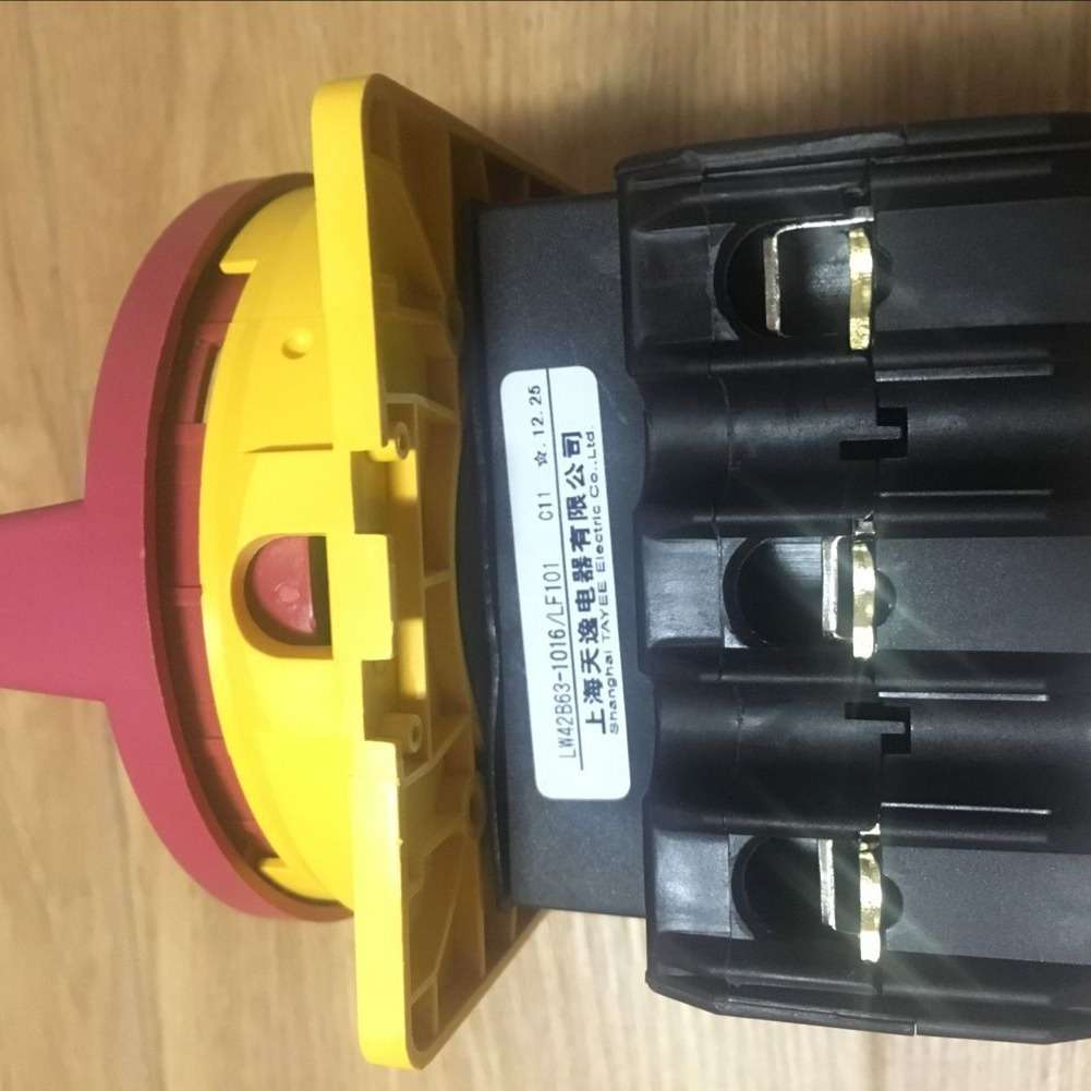 TAYEE天逸全系列LW42B63凸轮开关 电源旋钮开关 转换开关检测开关