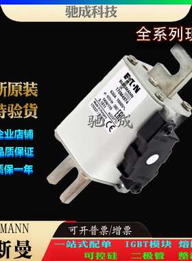 巴斯曼170M4974 170M4980 170M4981 现货直销 价优 快速保险丝