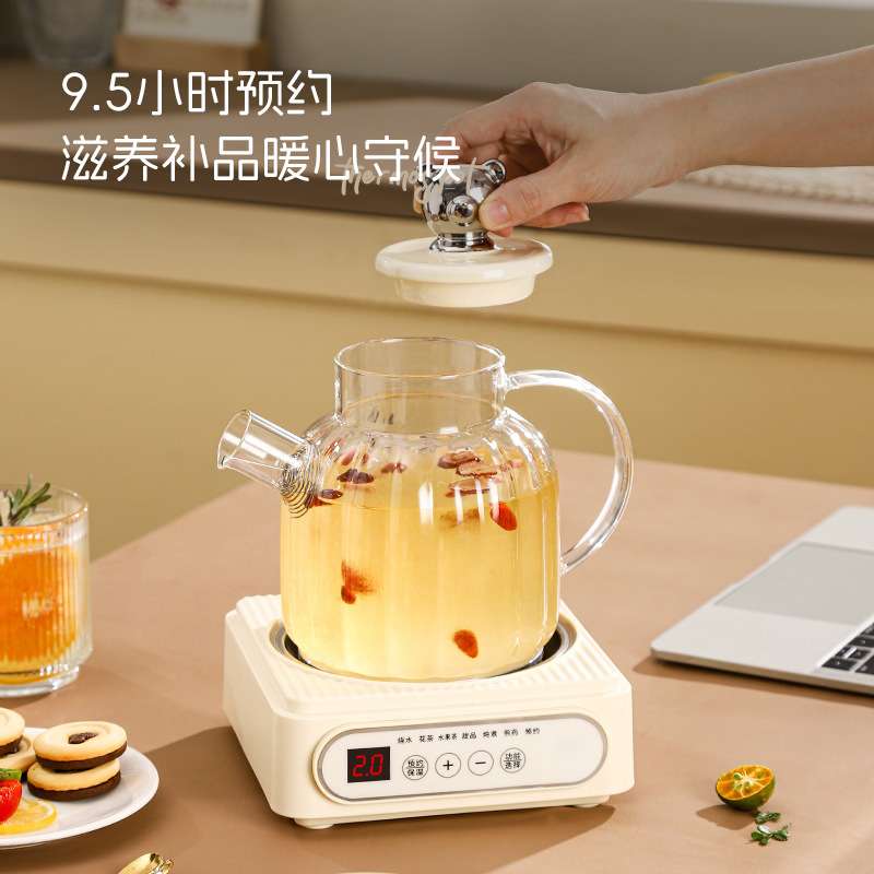 养生壶家用多功能小型煮茶壶煮茶器办公室花茶壶养生烧水壶多用途