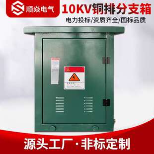 10KV高压电缆分支箱箱DFW欧式35kv铜排分线箱不锈钢材质一进二出