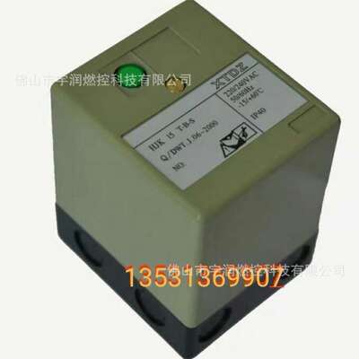 火焰检测器 火焰控制器HJK 15 T-B-S