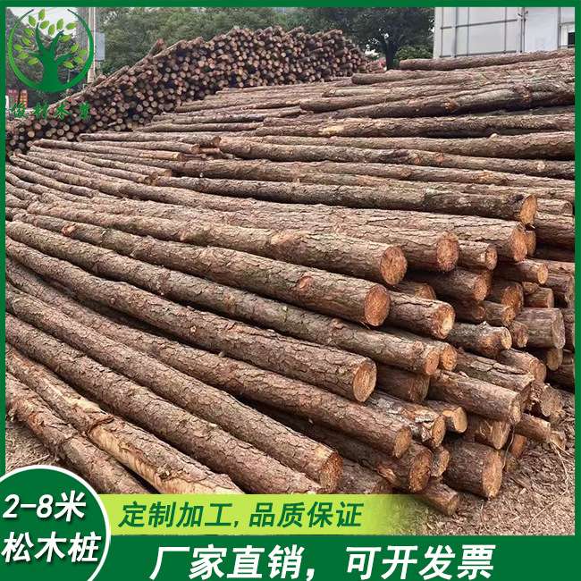专业 2-8米优良松木桩实木原木河道建筑等工程打桩木湿地松