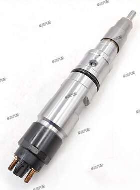 共轨喷油器0445120064/0445120136/0445120137总成