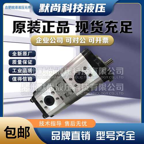 合肥皖液齿轮泵CBWL-E320/E320 E32/E316 E320/E310 E320/E308-AF