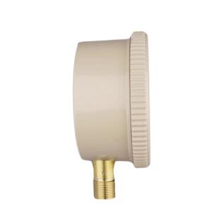 红旗牌膜盒压力表YE100膜盒压力表水压油压液压气压测量表