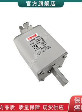 170M5196 170M5197 170M5198 巴斯曼bussmann快速熔断器保险丝