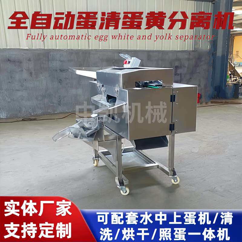 蛋清蛋黄分离机 蛋糕烘焙用打蛋机 仿人工双排打蛋机全蛋液敲蛋机