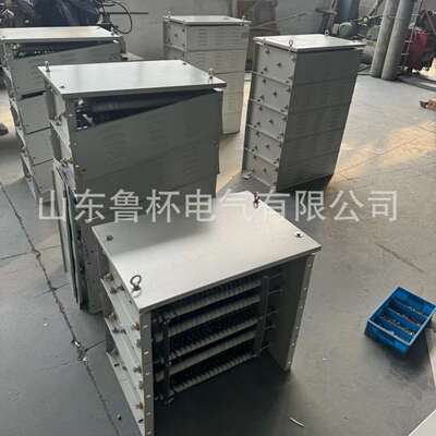 鲁杯中性点接地电阻器6.3KV-100A-10S有独特的钢栅结构设计散热好