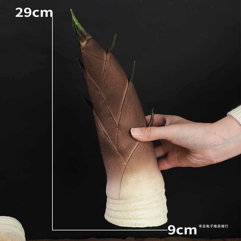 仿真毛笋模型竹笋蔬菜展柜装饰活动育儿教具儿童过家家影视道具