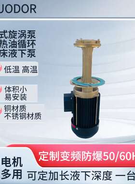 惠沃德立式机床液下泵WL-07S-150导热油220V单相铜泵体热水循环