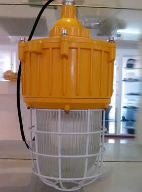 BPC8730B内场防爆灯_节能防爆平台灯 防眩泛光灯平台灯