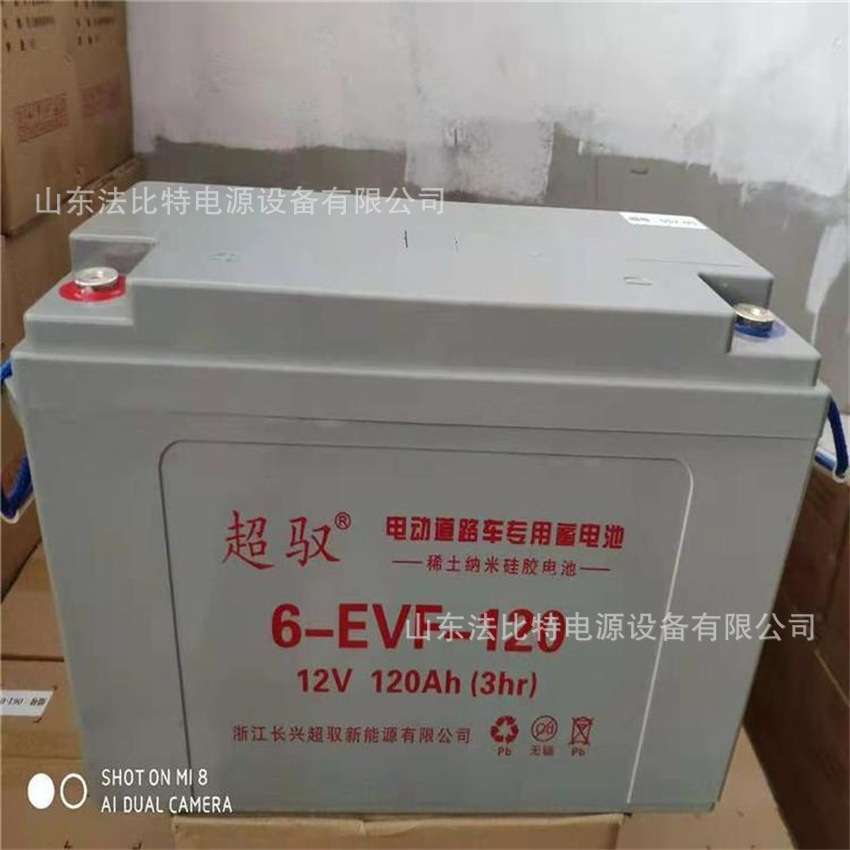 浙江超驭免维护蓄电池3-EVF-210观光旅游车6V210Ah电动四轮车