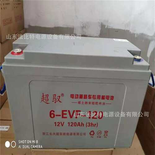 浙江超驭免维护蓄电池3-EVF-210观光旅游车6V210Ah电动四轮车