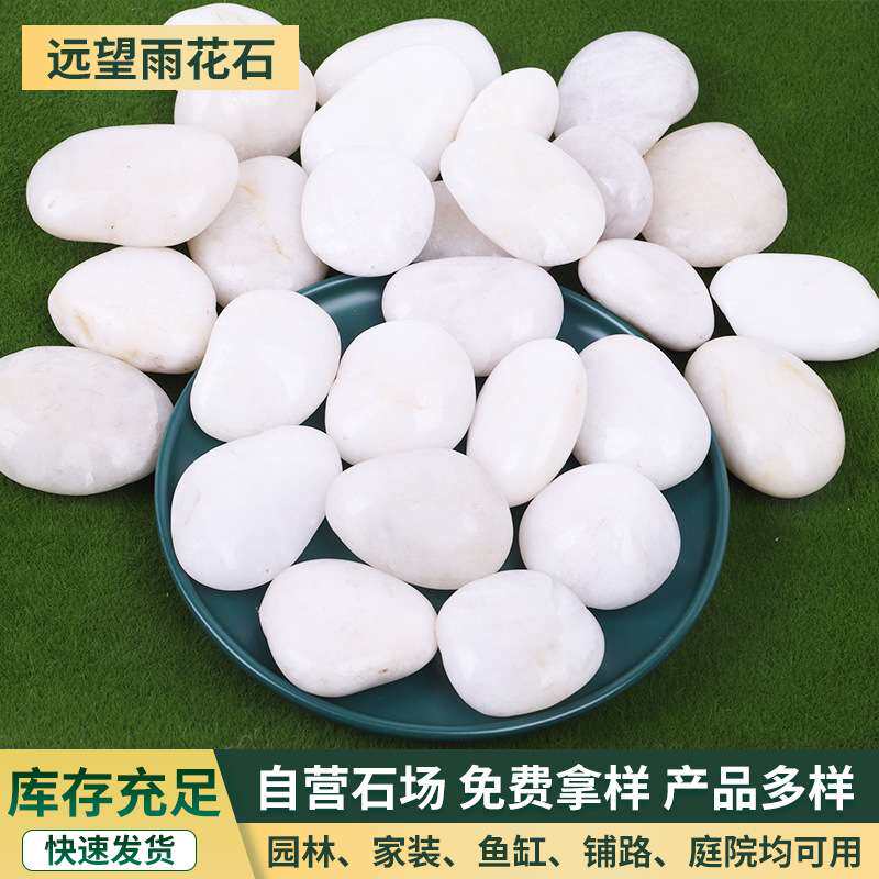 白色抛光鹅卵石 园林景观高光雨花石工程铺路鱼缸造景石头厂家