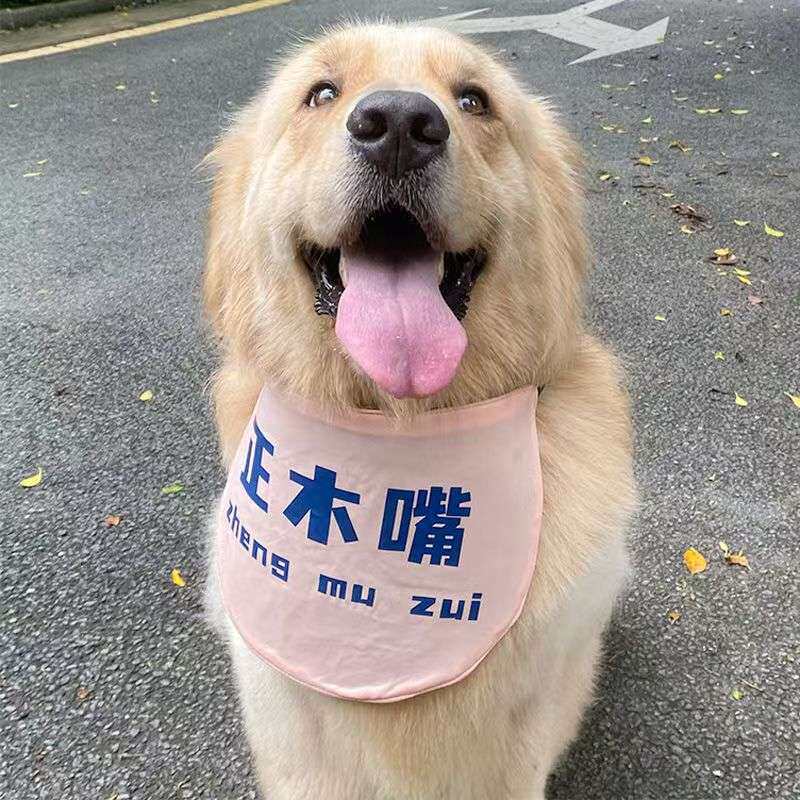 新款口水巾宠物正木嘴粉色圆兜金毛阿拉斯加中大型边牧可爱口水巾