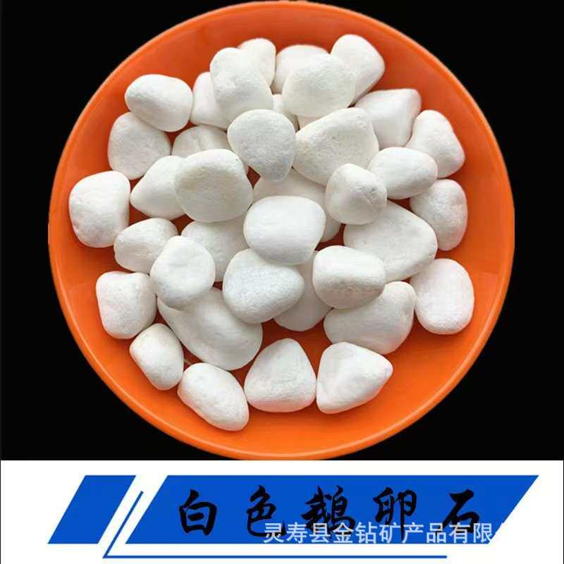 白石子庭院铺路园林造景用白色砾石多肉植物铺面白色小石头水洗石
