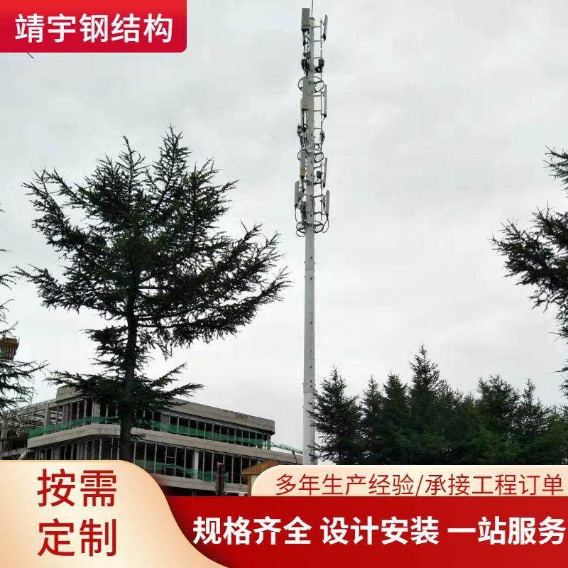 单管避雷塔拉线塔电力通讯塔圆钢避雷塔信号塔美化塔单管塔独管塔,户外/登山/野营/旅行用品,遮阳篷/雨篷/车篷/广告篷,淘宝优惠券,粉丝福利购,淘宝优惠卷