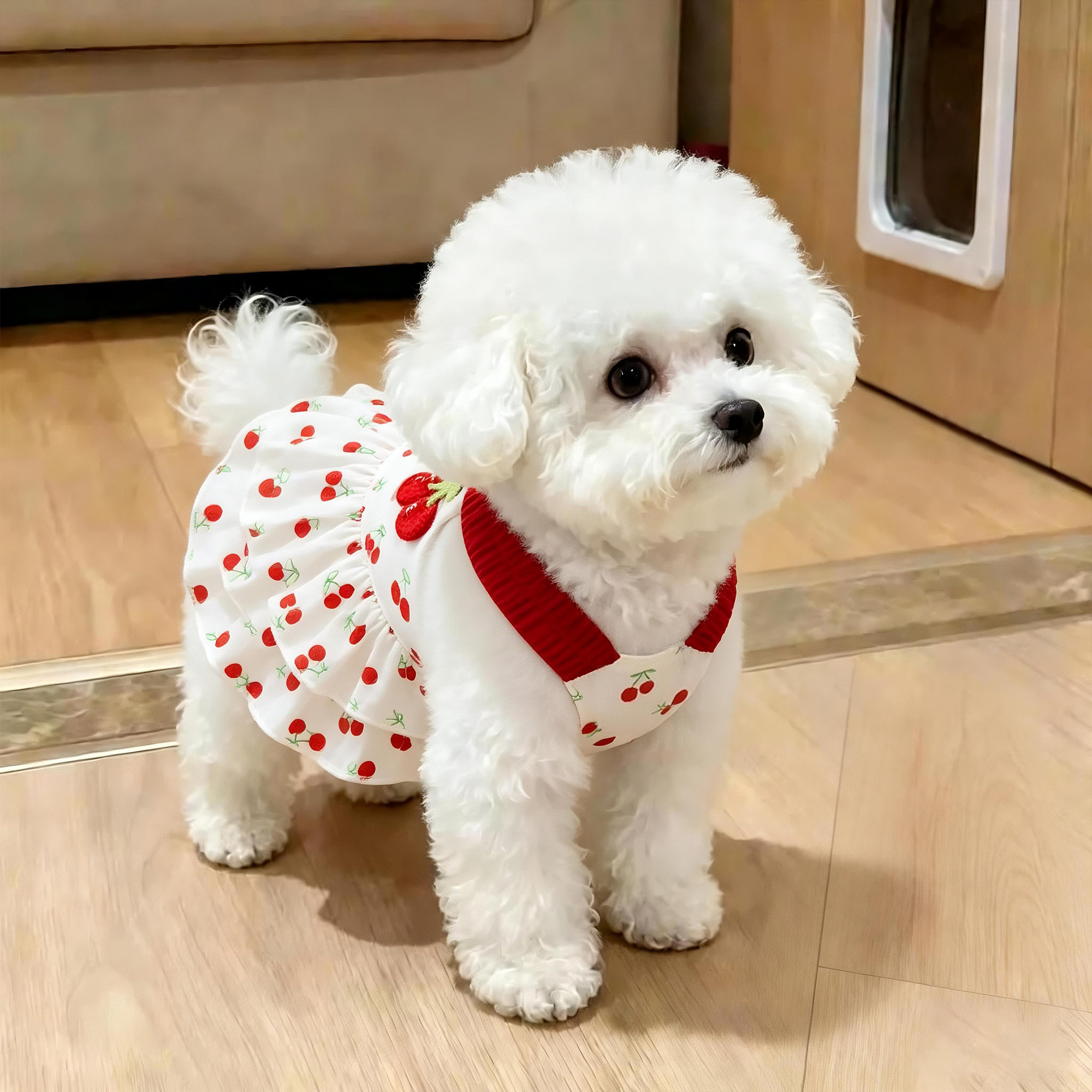 狗狗衣服夏季透气清凉樱桃连衣裙