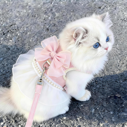 猫咪牵引绳背心式可调节外出专用