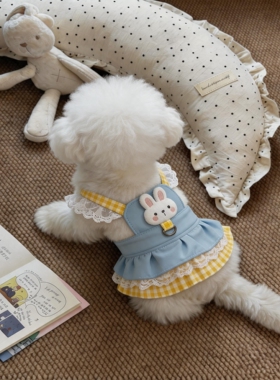 狗狗衣服夏季透气可牵引衣公主裙泰迪熊小型犬宠物猫咪薄款连衣裙