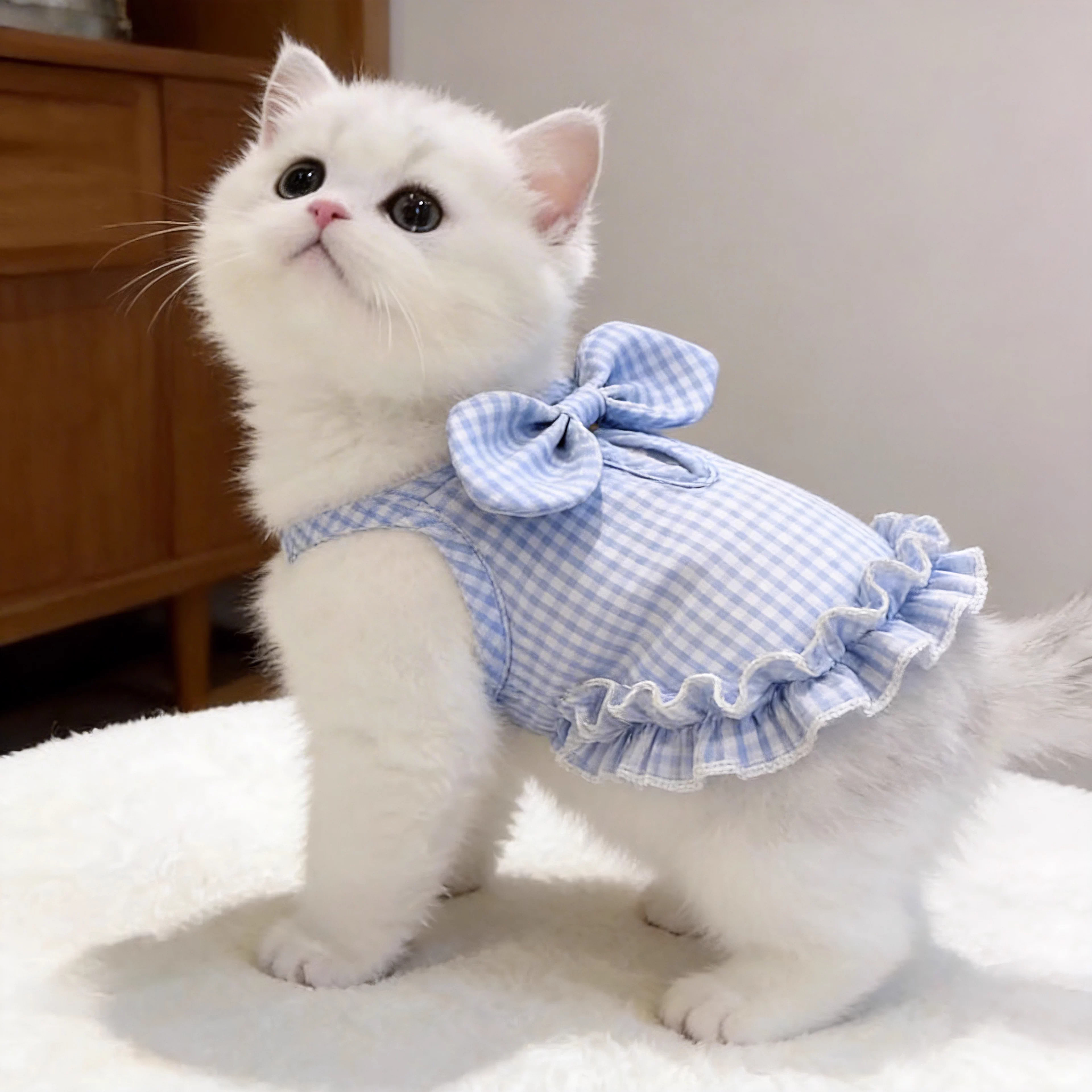 猫咪衣服春夏季格子吊带裙蝴蝶结