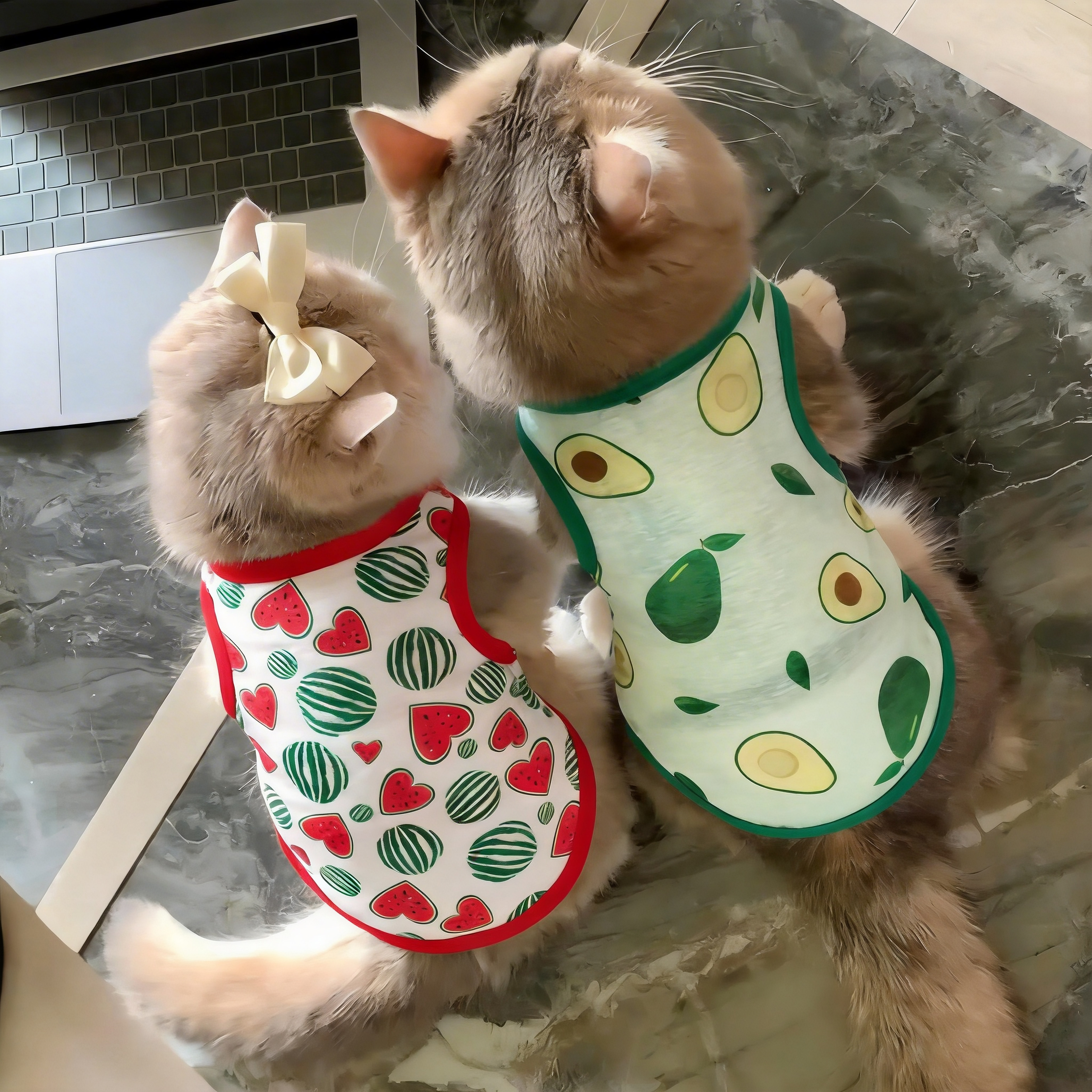 猫咪衣服夏天薄款透气防掉毛凉凉