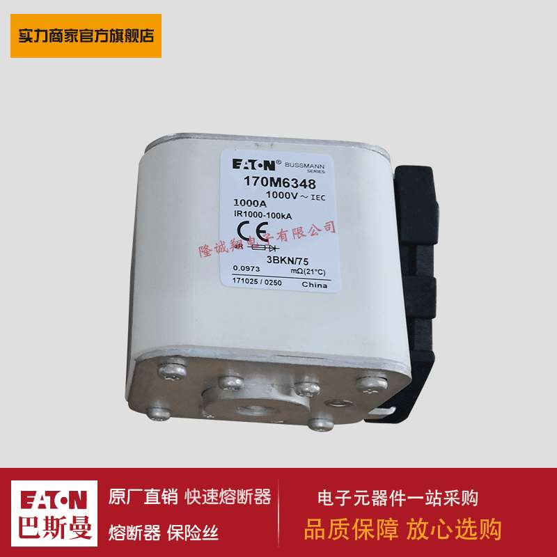 熔断器170M6254 170M6308 170M6309 170M6310 170M6311 170M6312