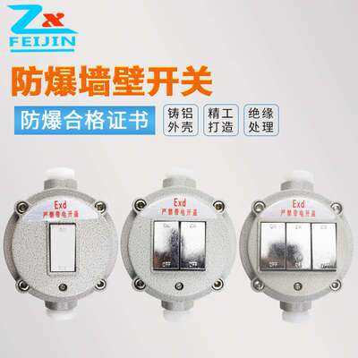 防爆开关220V 10A 明装墙壁86型 单开双开三开 照明开关