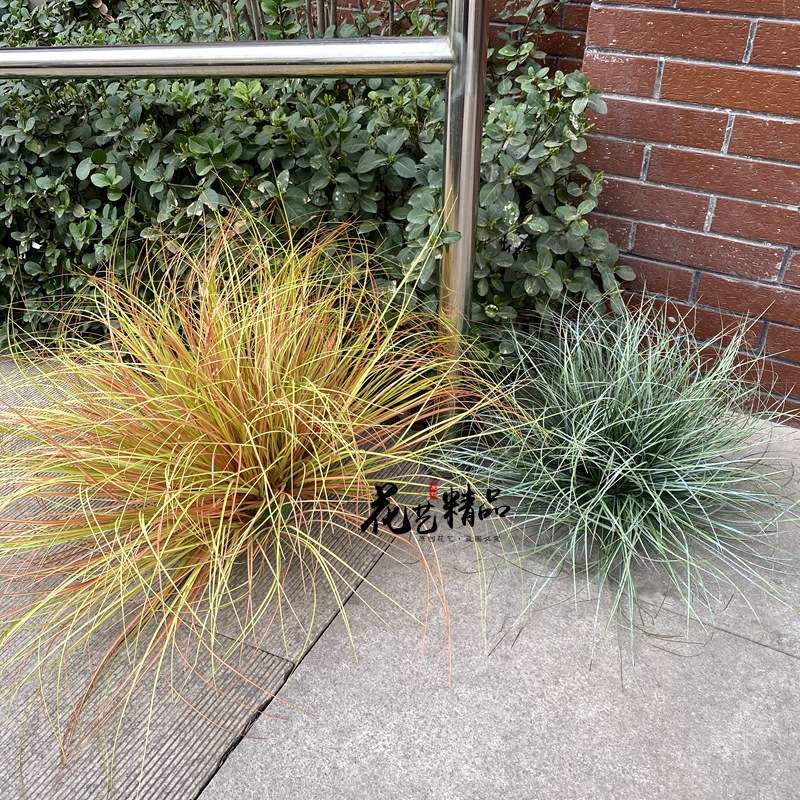 造景套装狗尾草芦苇橱窗装饰秋色黄色地被细兰叶套装绢花草堆仿真