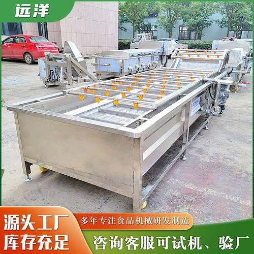 果蔬气泡清洗设备人参枸杞喷淋式清洗设备中药材清洗机厂家供应