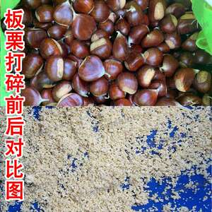 现货供应大型果蔬打碎机 洋葱生姜打泥机 大豆大蒜打碎机