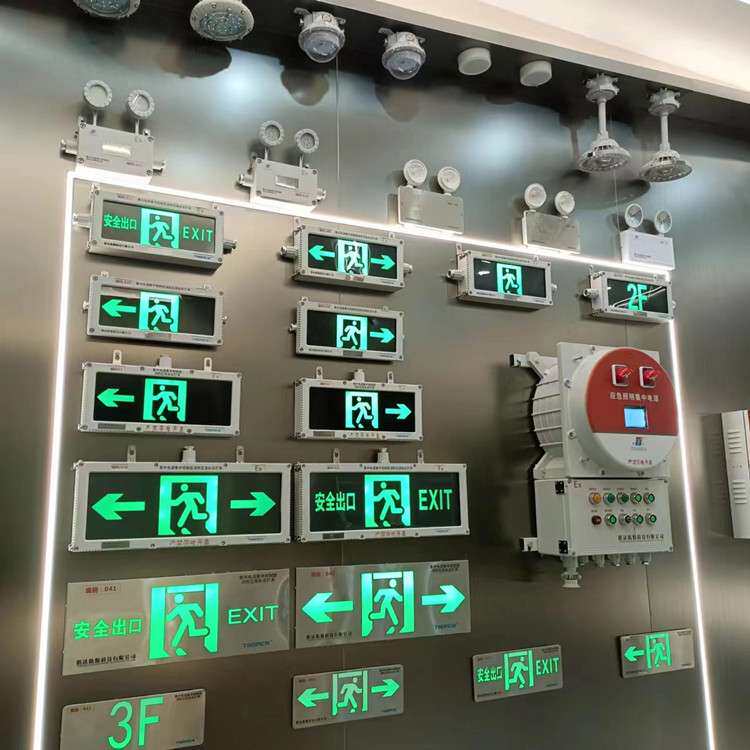 集中控制型应急照明控制器A应急灯具中控室智能型遥控操作