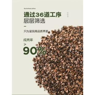 全荞麦皮壳枕头护颈椎助睡眠决明子枕芯硬整头成人男护颈枕小高枕
