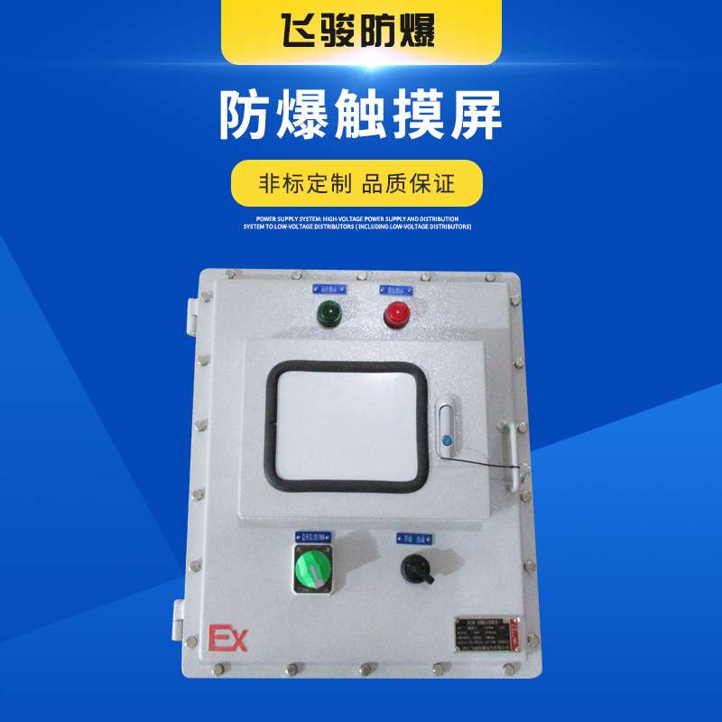 厂家现制 触摸屏防爆控制箱 钢板焊接配电箱按钮开关控制箱仪表
