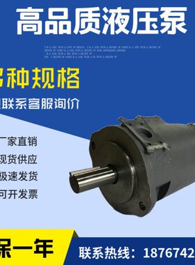 D--机叶片泵器21ME注塑东京11TO-2母IP3CD-P子18-7计SQK