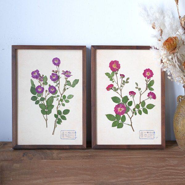 红玫瑰花植物标本装饰画标本画礼物胡桃木干花相框中古简约风格,家居饰品,标本类装饰画,淘宝优惠券,粉丝福利购,淘宝优惠卷