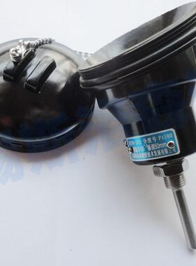 接线盒-0热电偶1 P23胶温度传感器W10热电阻ZP 木铂防腐 T接线盒