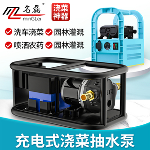 12v充电式 抽水泵农村浇菜神器浇水机农用灌溉户外浇Y地小型抽水机