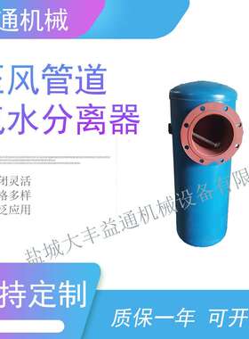 口径DN250法兰管道除水除尘过滤器 不锈钢汽水分离器